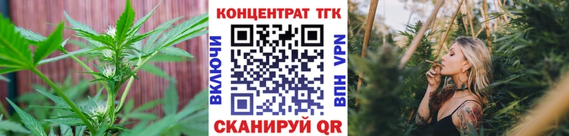 ТГК Wax Карабулак