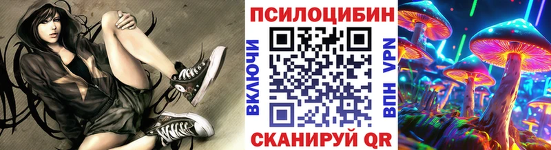 Галлюциногенные грибы GOLDEN TEACHER Купить Карабулак